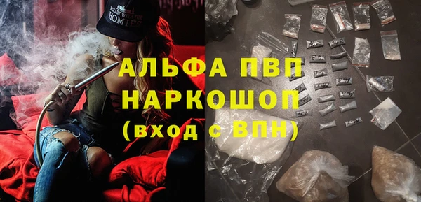 винт Абаза