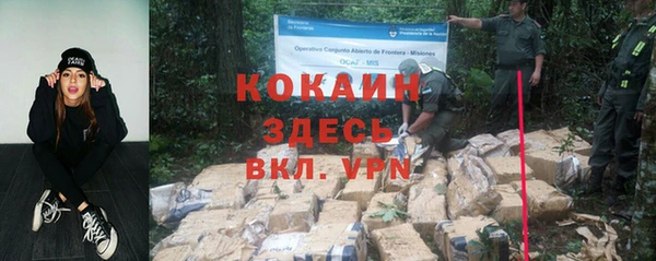 винт Абаза