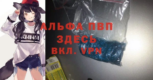 винт Абаза