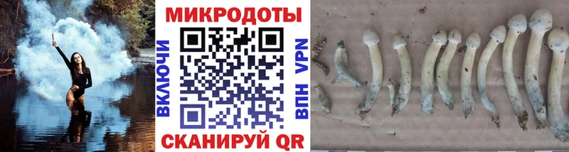 Псилоцибиновые грибы Psilocybe  где купить наркоту  дарк нет формула  Майский 
