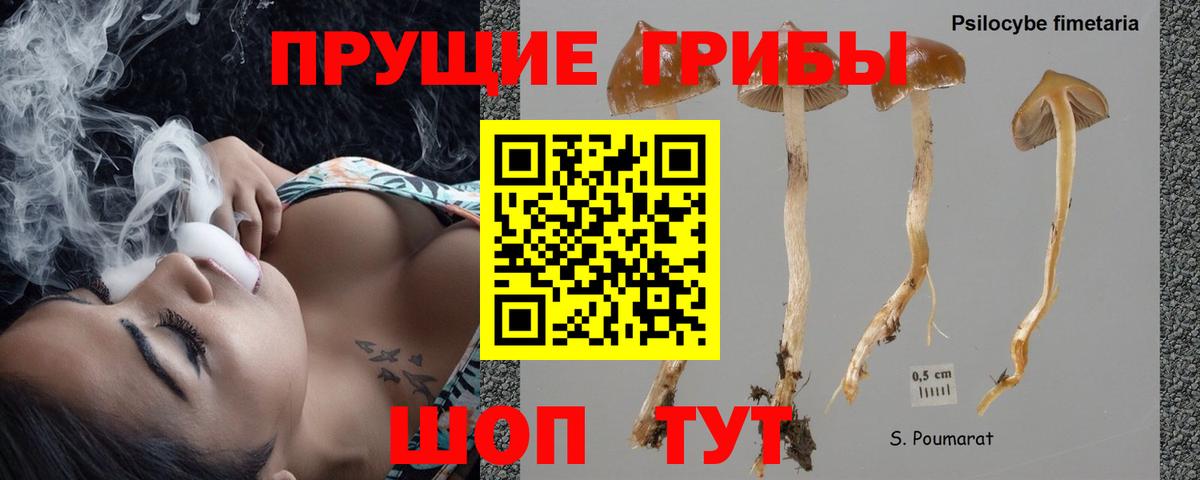 Галлюциногенные грибы мицелий  закладки  Майский  Вход с VPN 